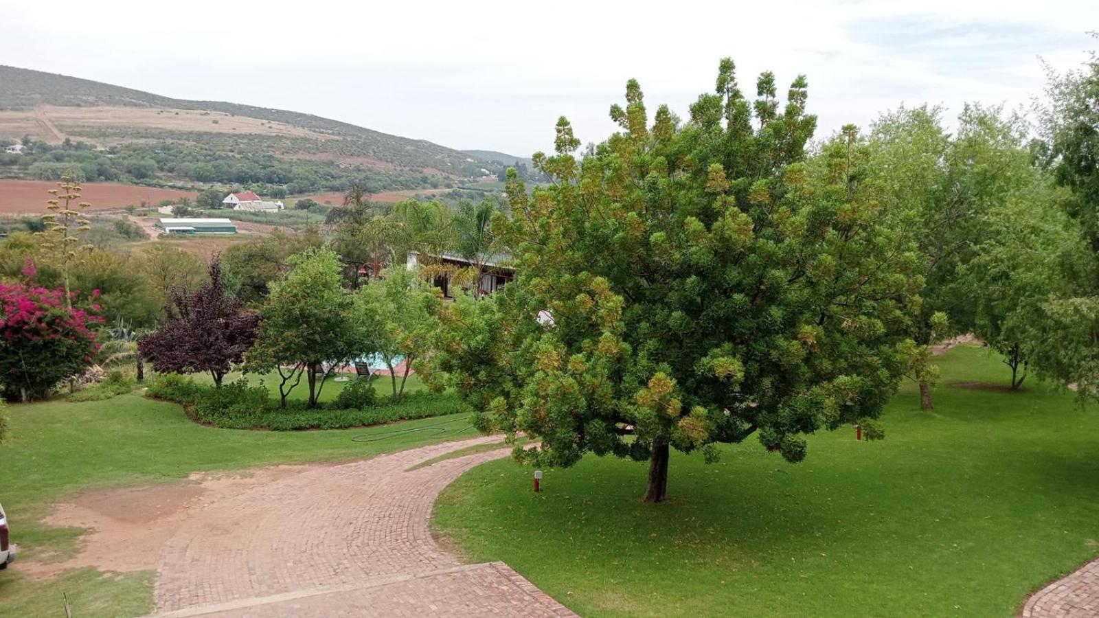 Kranskloof Country Lodge Oudtshoorn Kültér fotó