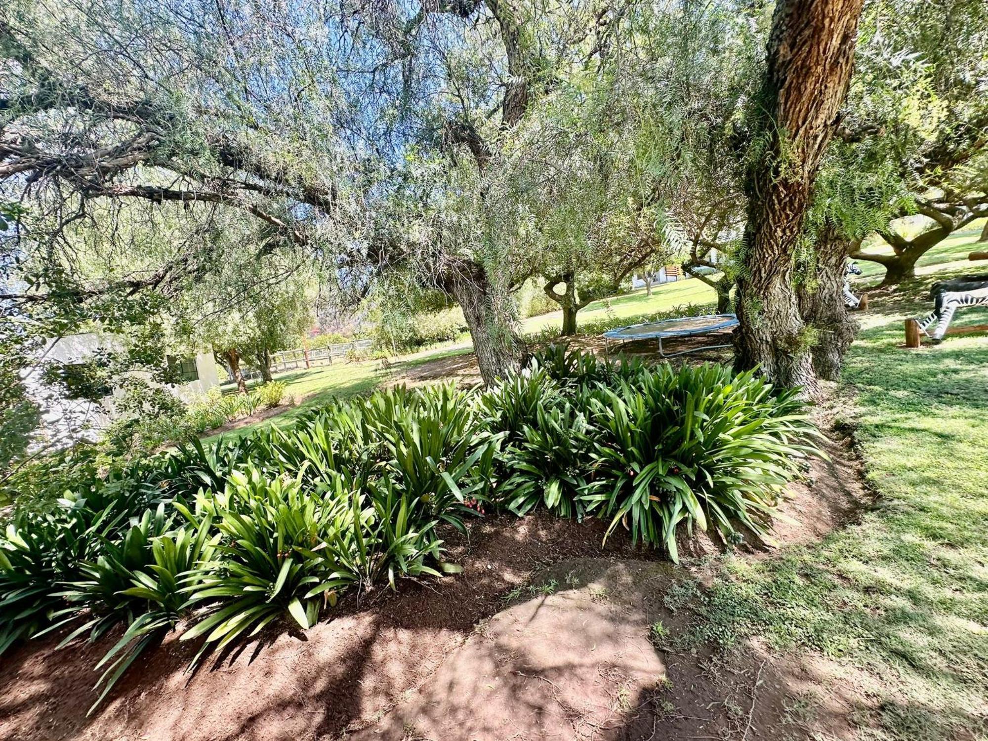Kranskloof Country Lodge Oudtshoorn Kültér fotó