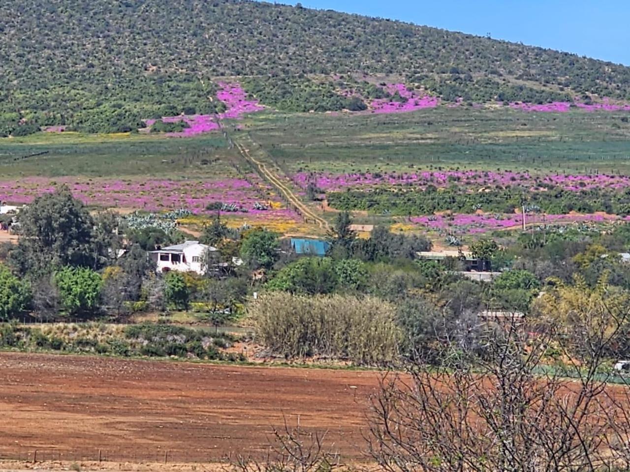 Kranskloof Country Lodge Oudtshoorn Kültér fotó